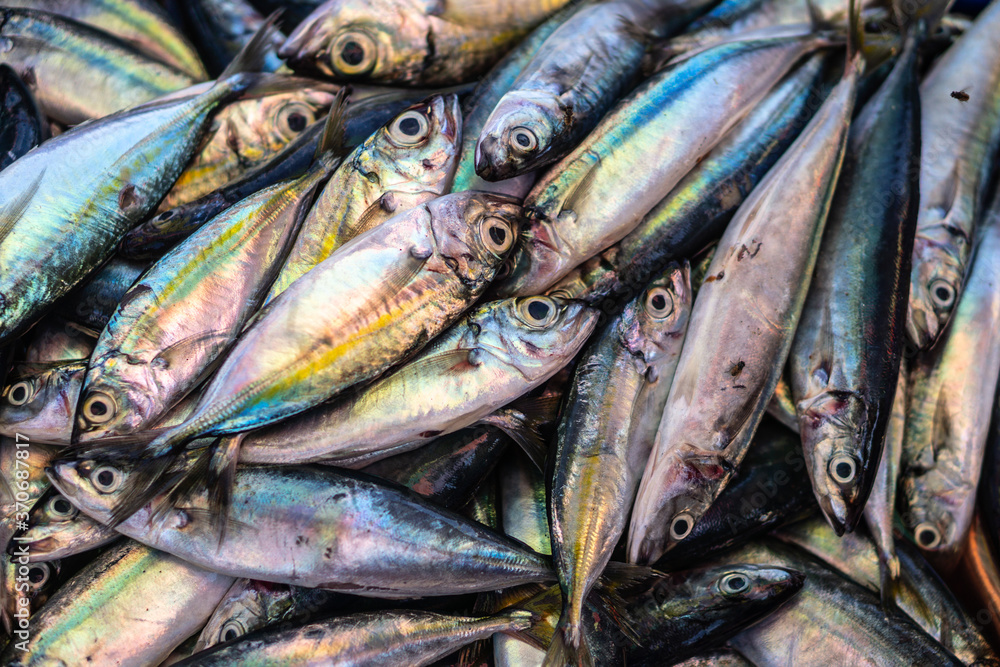Fototapeta premium Basket with fresh fish in local asian fish market