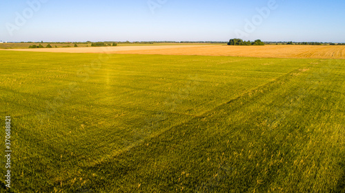 green field and blue sky