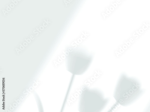 transparent falling shadows from the window and tulips mock up 