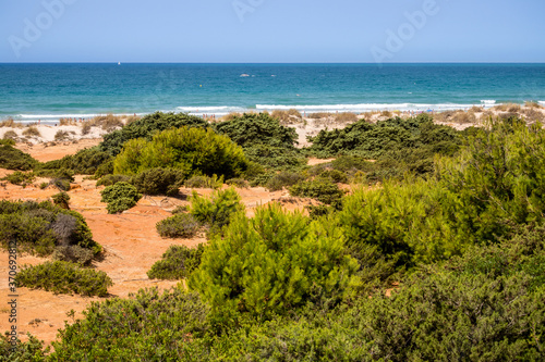 Sand dunes that give access to La Barrosa beach in Sancti Petri, Cádiz, Spain. © josevgluis