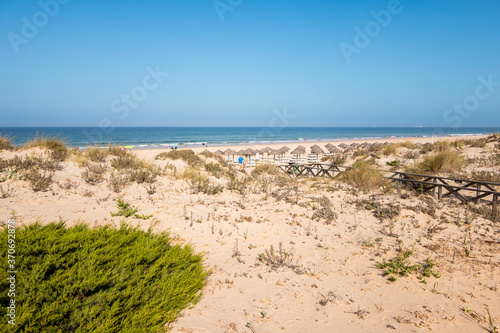Sand dunes that give access to La Barrosa beach in Sancti Petri  C  diz  Spain.