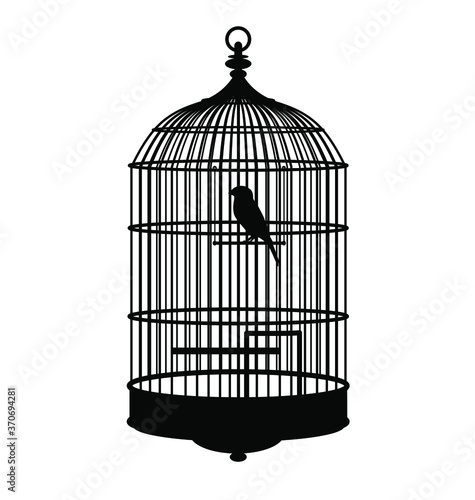 birdcage isolated on white