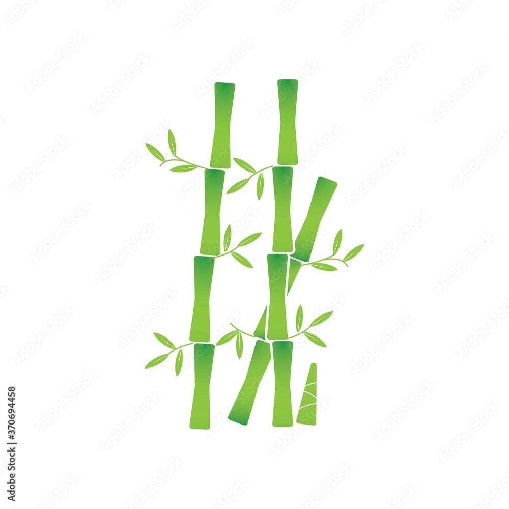 Fototapeta premium Bamboo with green leaf