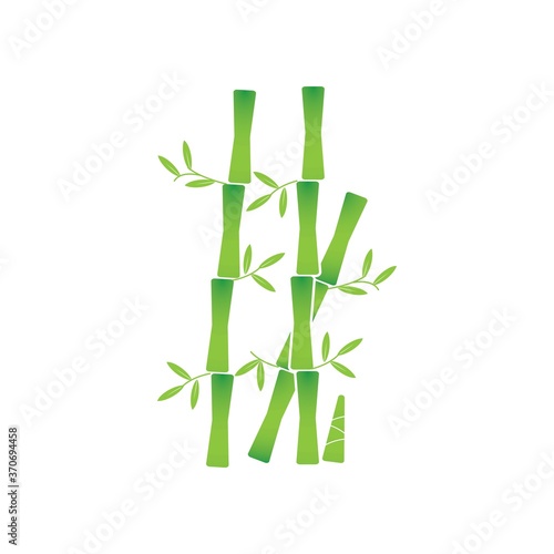 Bamboo with green leaf