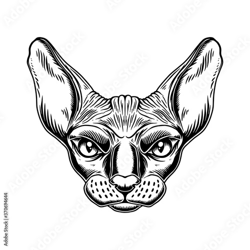 Illustration of head of Sphynx cat breed in vintage monochrome style. Design element for logo, emblem, sign, poster, card, banner. Vector illustration