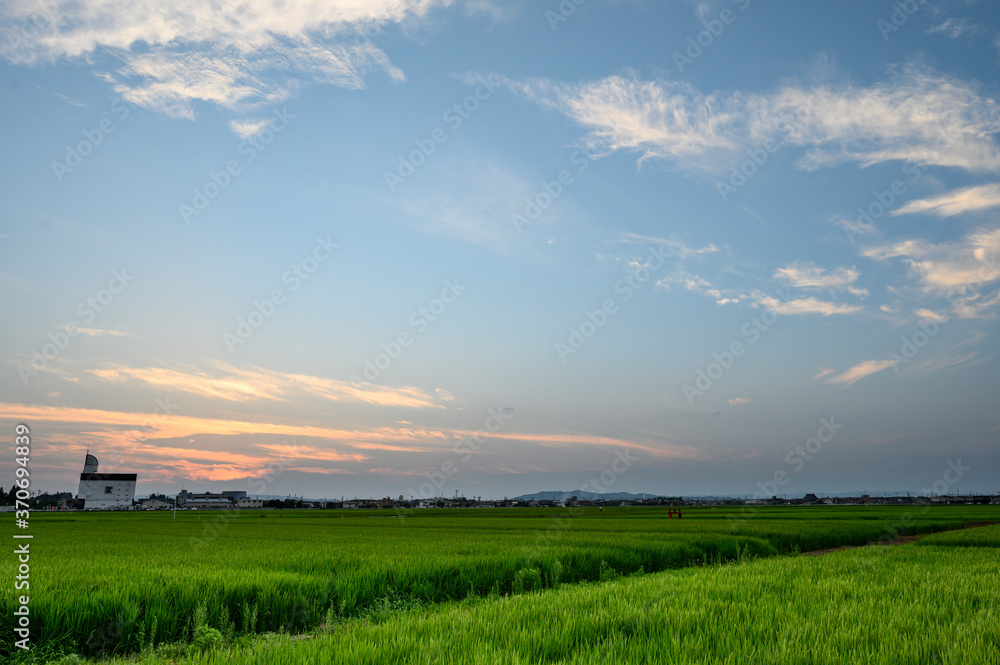 畑と空 畑と空