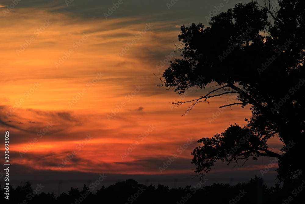 Sunset out in the Kansas countryside with a colorful sky and a tree silhouette.