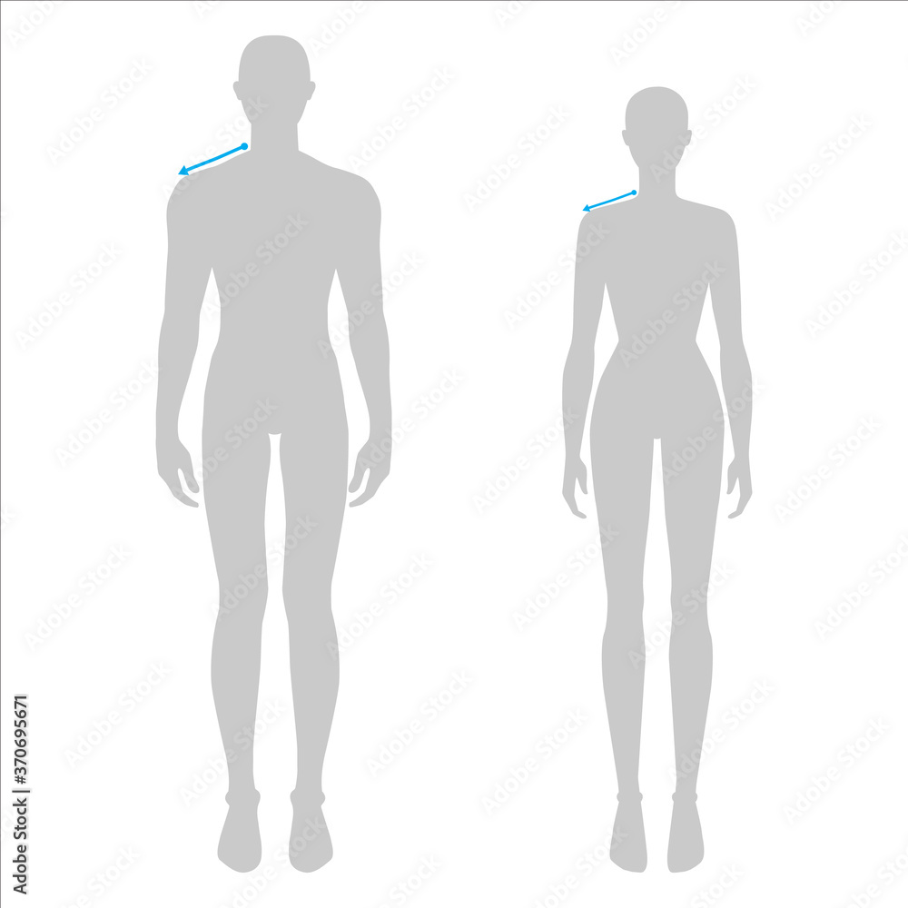 Women and men to do shoulder measurement fashion Illustration for size chart. 7.5 head size girl and boy for site or online shop. Human body infographic template for clothes. Women and men to do shoulder measurement fashion Illustration for size chart. 7.5 head size girl and boy for site or online shop. Human body infographic template for clothes.