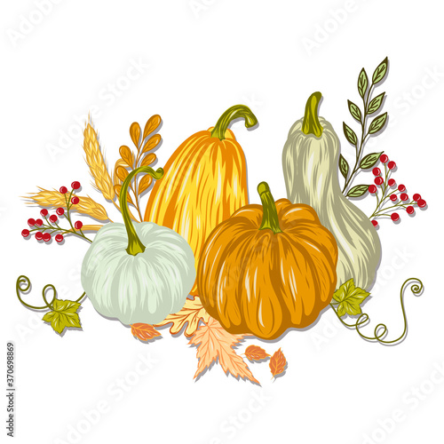 pumpkins for thanksgiving