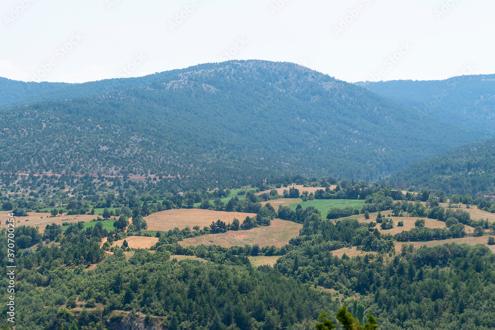Fields surrounded by trees, trees as a natural hedge material. Fields surrounded by trees, trees as a natural hedge material.