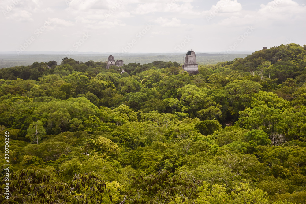Mayan temple surrounded by jungle in Tikal national park