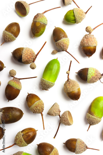 Background made from different acorns, white background