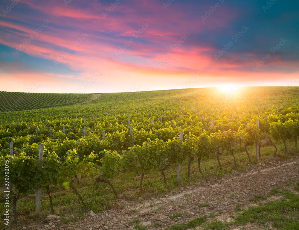 Naklejka premium spring landscape of green tuscany and table place texture