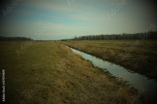 Small swampy river in the field. Wilted grasses on the banks of the river. Evening landscape. Vignette.