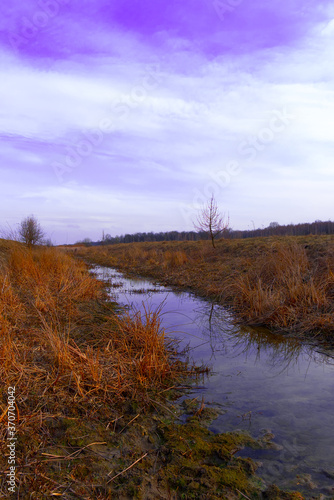 Small swampy river in the field. Wilted grasses on the banks of the river. Evening landscape.