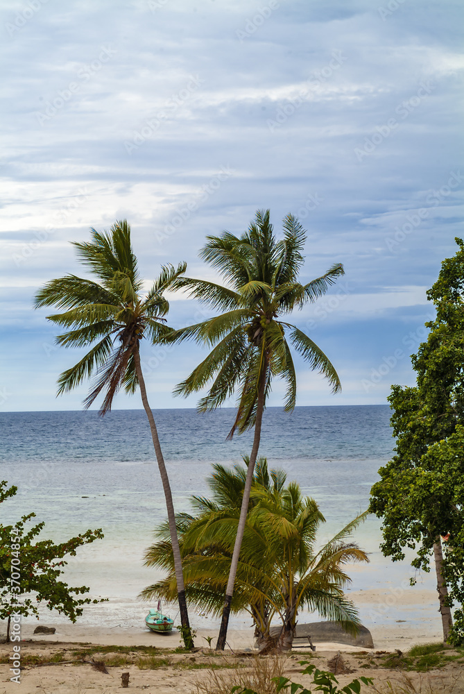Φωτογραφία palm tree and fishing boat at Haad Tien Beach in Koh Tao island, Thailand