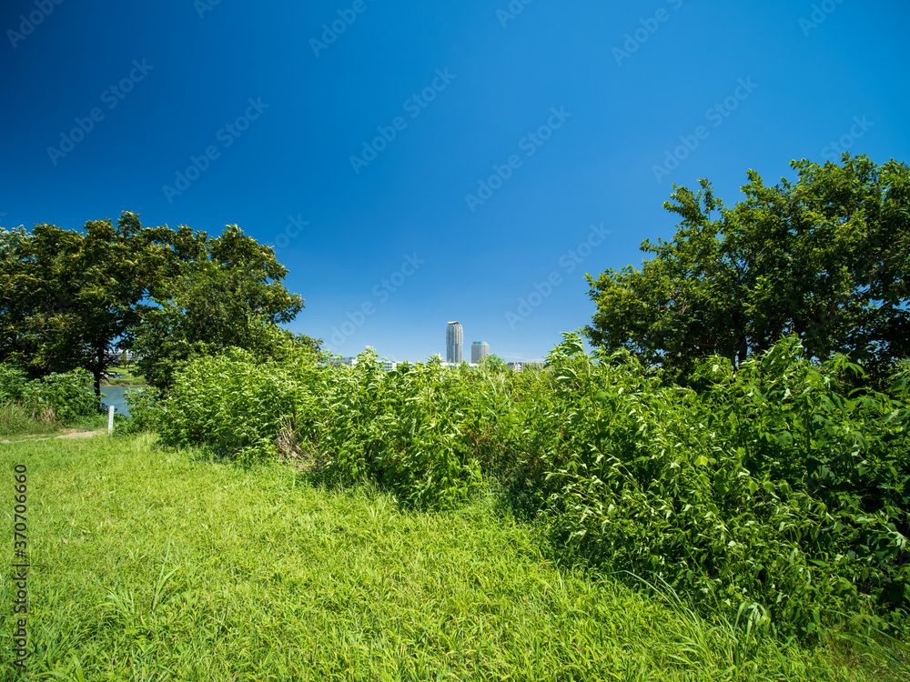 Obraz premium 真夏の青空広がる東京都赤羽の風景。奥の町並みは埼玉県川口市。8月。