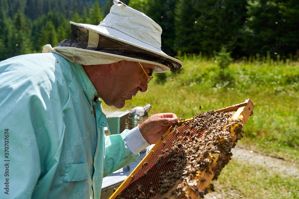 Beekeeper extracting the honey Beekeeper extracting the honey