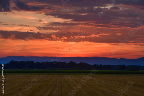 Sonnenuntergang am Kanal Rhone au Rhin im Elsass