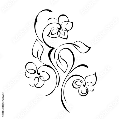 ornament 1262. stylized twigs with blooming flowers, leaves and curls in black lines on a white background