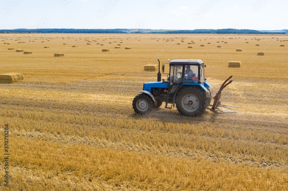 Obraz premium Round bales are bales of hay, straw or forage rolled in the shape of a large cylinder. When the legumes grow to a certain height, they are cut and dried in the field by the heat of the sun