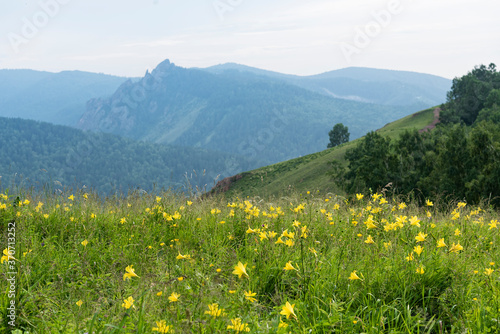 Amazing mountain landscape with colorful flowers at sunset, outdoor travel destination. Beautiful summer nature