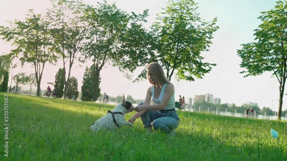 Young woman training french bulldog in park. Young woman training french bulldog in park.
