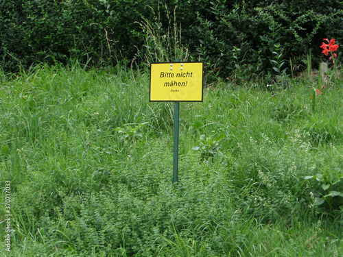 Lustiges typisch deutsches Schild "Bitte nicht mähen! Danke!" auf viel bewachsenem grünen wilden Rasen. Vorsicht Mahnung Danger Hinweis Sign. Gelbes Schild mit schwarzer Schrift.