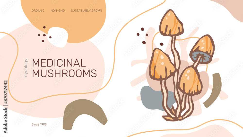 Fototapeta premium Medicinal Mushrooms Banner Template