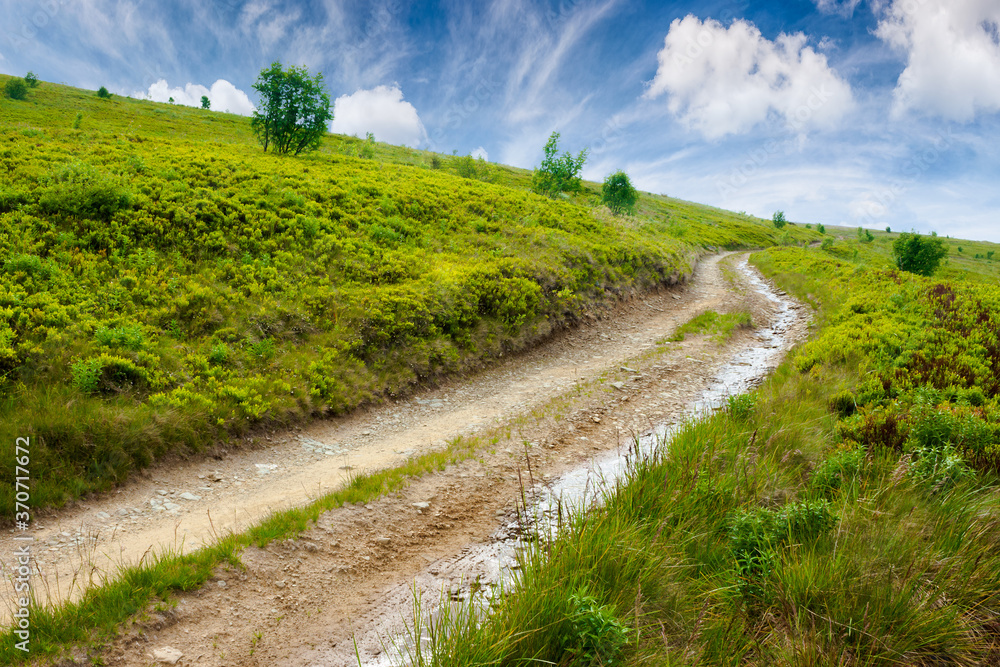 mountain road through grassy meadow. wonderful summer adventure. clouds on the blue sky