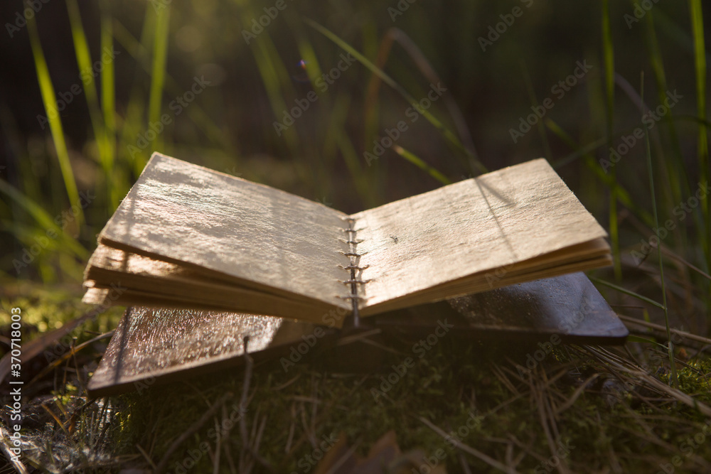 Fototapeta premium Vintage open notepad in nature with blank pages.