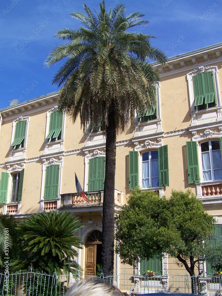 Naklejka premium Schöne Palme in Dolceaqua, Italien