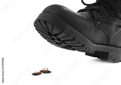 Person crushing cockroaches with feet on white background, closeup. Pest control