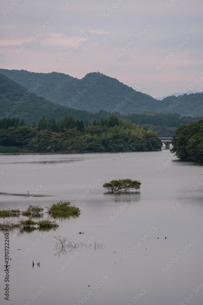 湖面から覗く木々 湖面から覗く木々