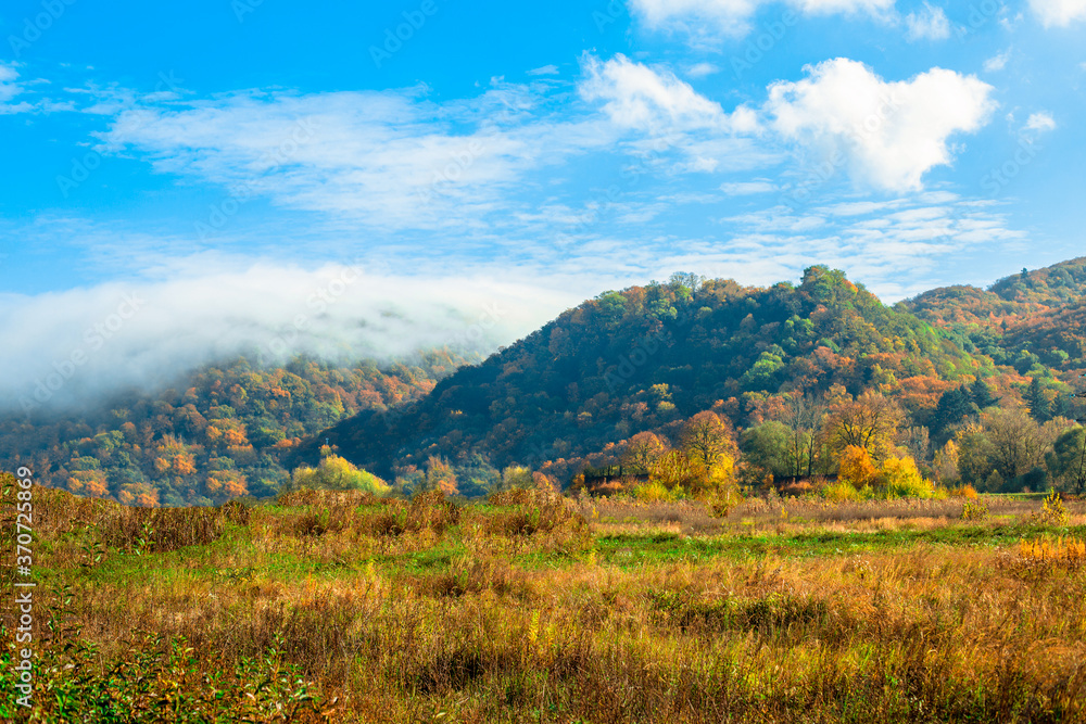 autumn landscape. mountains covered with yellow and green leaves. fog in the mountains.