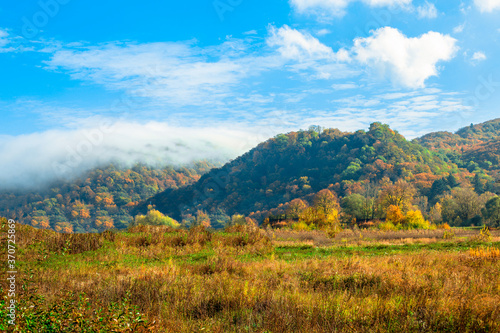 autumn landscape. mountains covered with yellow and green leaves. fog in the mountains.