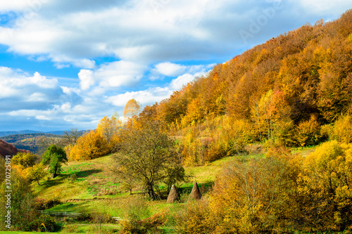 autumn landscape. autumn mountains and trees with yellow and red leaves.