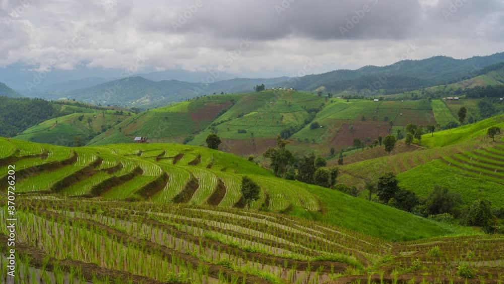 Time lapse of green rice terrace in overcast located in Ban Pa Bong Piang the most beautiful rice terrace in Chiang Mai Thailand Time lapse of green rice terrace in overcast located in Ban Pa Bong Piang the most beautiful rice terrace in Chiang Mai Thailand