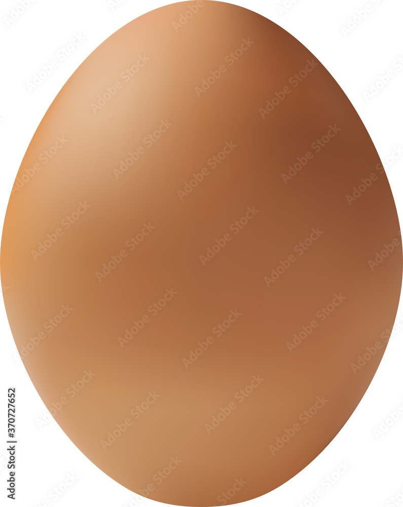 Photo realistic egg isolated on white background vector image Photo realistic egg isolated on white background vector image