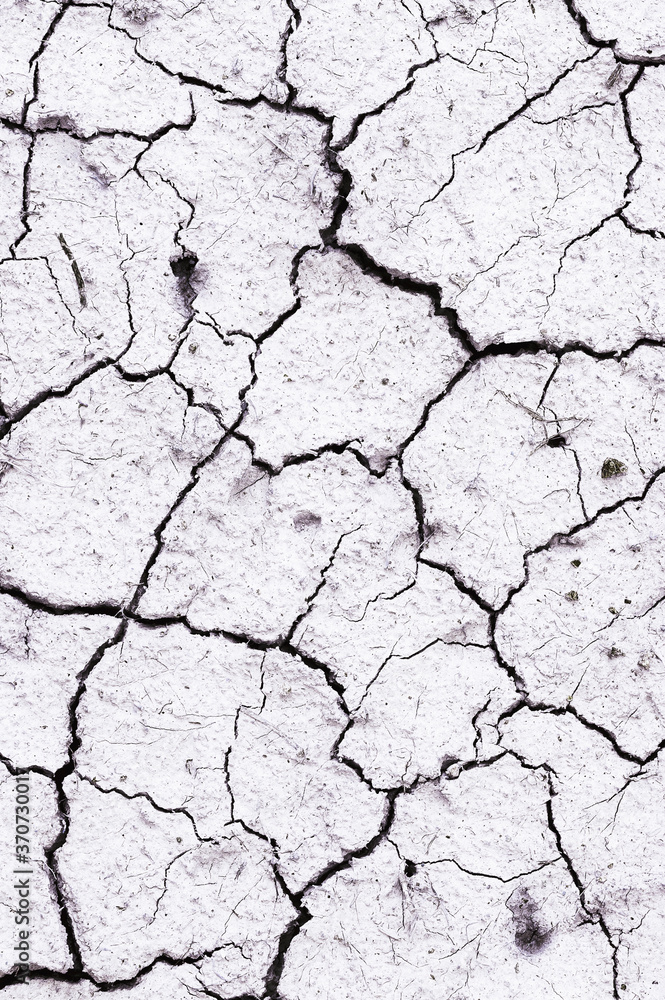 Background and texture of cracked dry earth. View from above.
