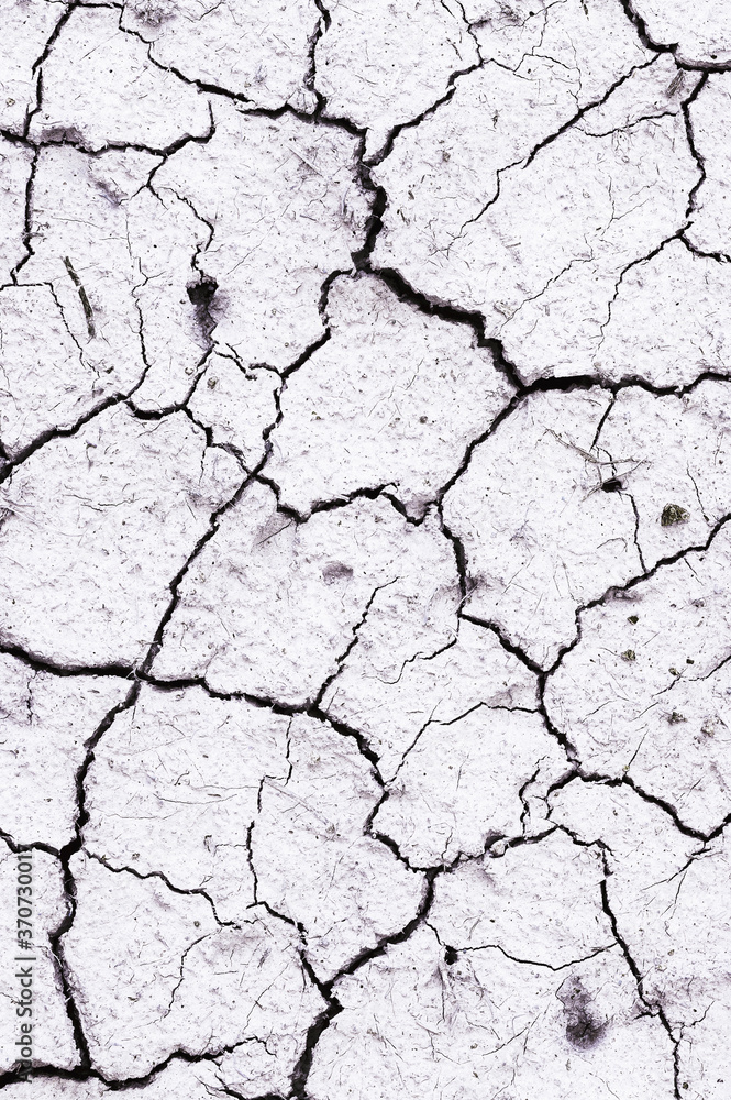 Background and texture of cracked dry earth. View from above. Background and texture of cracked dry earth. View from above.