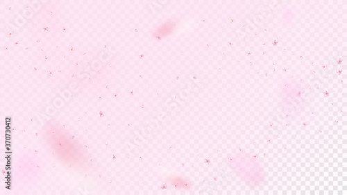Nice Sakura Blossom Isolated Vector. Magic Flying 3d Petals Wedding Frame. Japanese Blurred Flowers Illustration. Valentine, Mother's Day Tender Nice Sakura Blossom Isolated on Rose