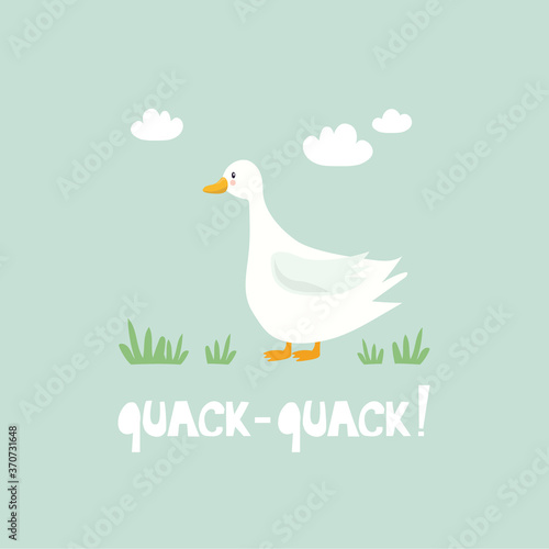 Hand drawn illustration with goose, grass and english text. Quack - quack! Colorful background. Poster design with birds. Decorative backdrop vector. Funny card