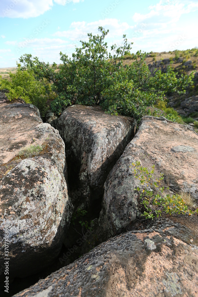 Crack in Arbuzynsky Canyon, Mykolaiv Region, Ukraine Crack in Arbuzynsky Canyon, Mykolaiv Region, Ukraine