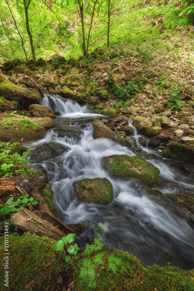 River in the forest, Slovakia