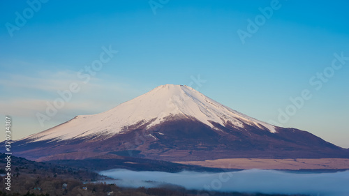 早春のパノラマ台（山中湖村）から青空を背景にした富士山を望む © WAWA