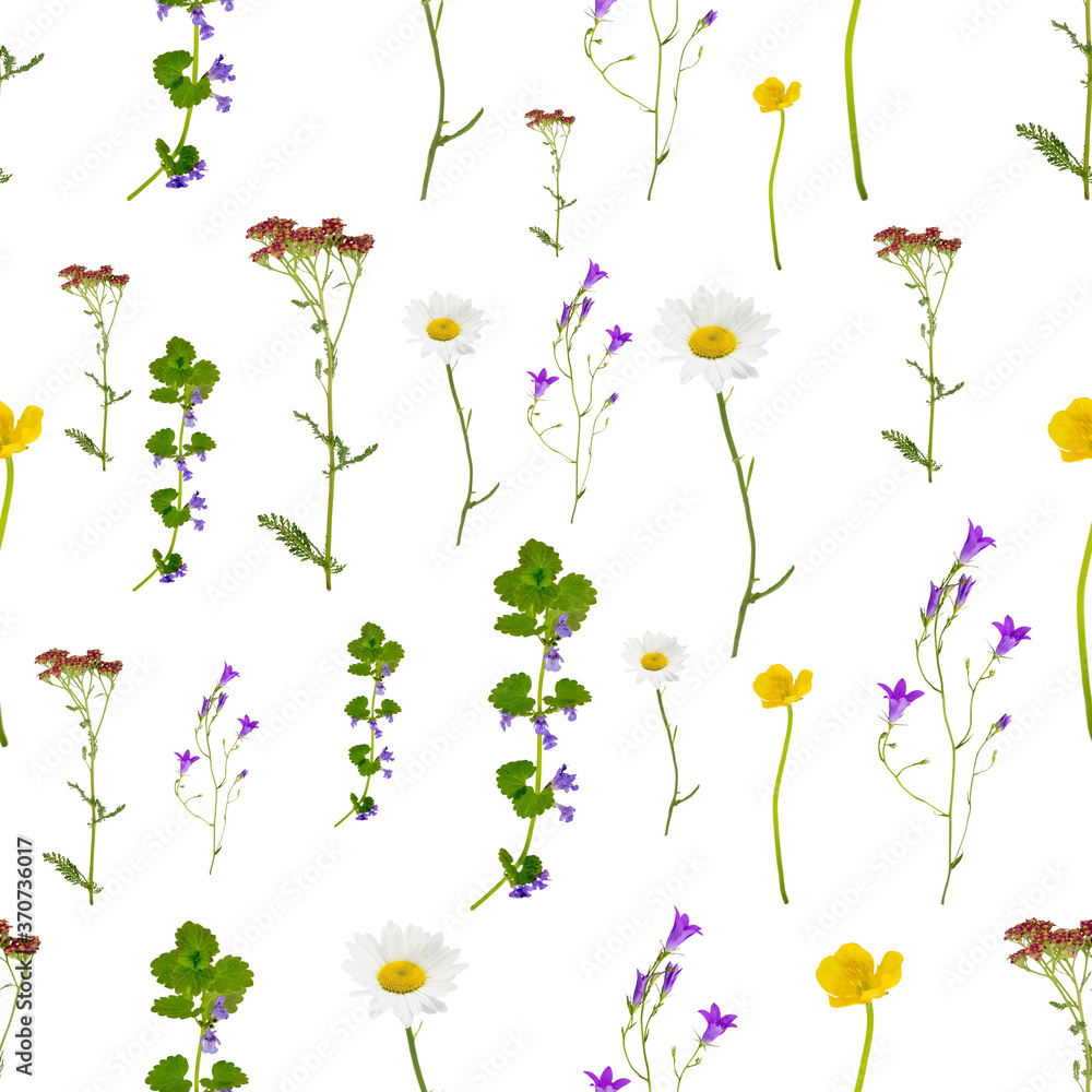 Seamless background with summer meadow flowers