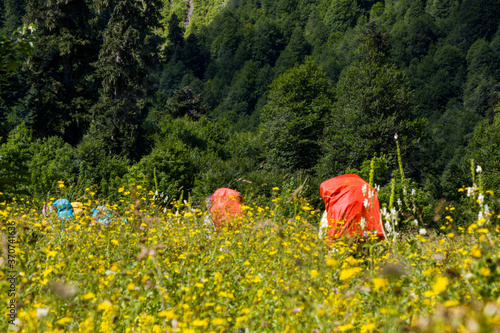 Fototapeta Naklejka Na Ścianę i Meble -  Hiker and backpacker in the mountain valley and field, trekking and hiking scene in Svaneti, Georgia