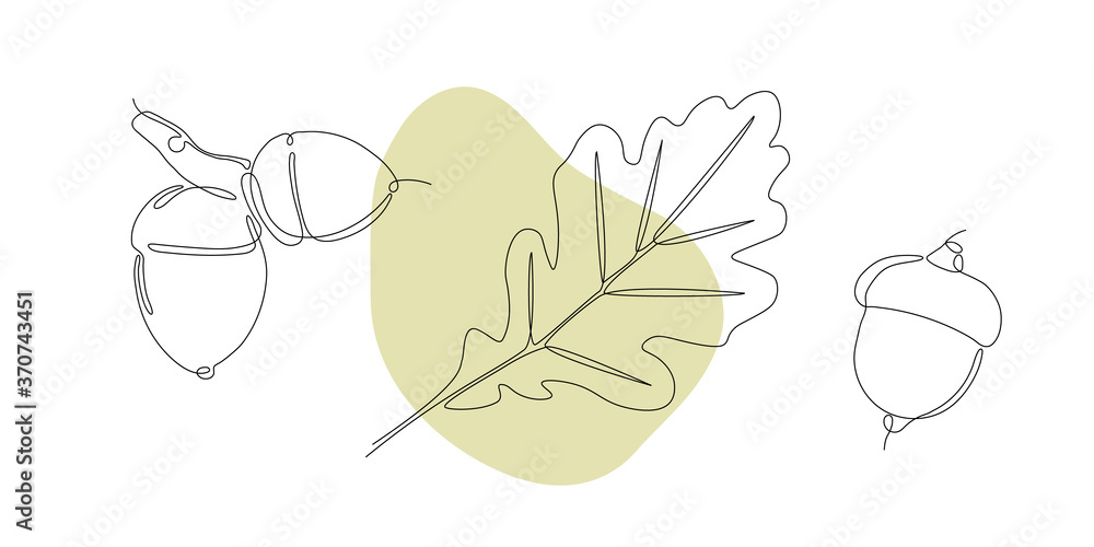 One line art leavs and acorn. Single line art. Nature illustration for design