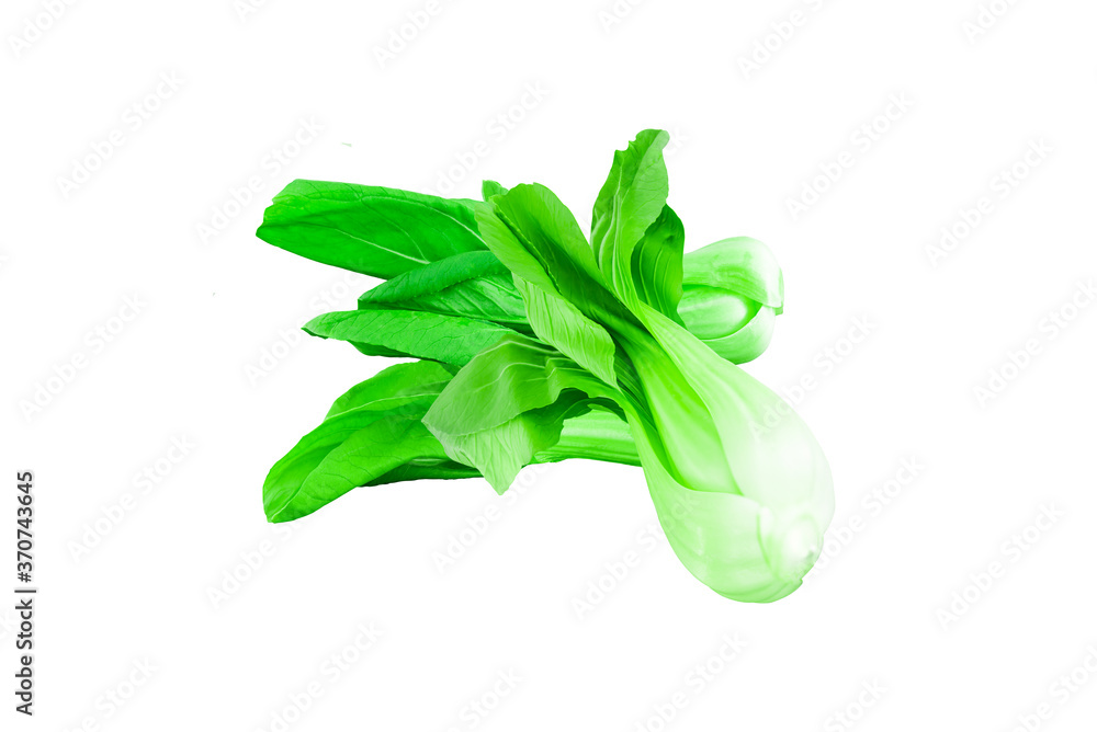 Emperor mustard was placed on a white ground. Emperor mustard was placed on a white ground.